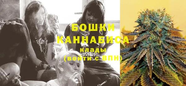 МДПВ Горняк