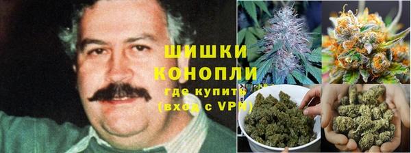 ALPHA PVP Горно-Алтайск
